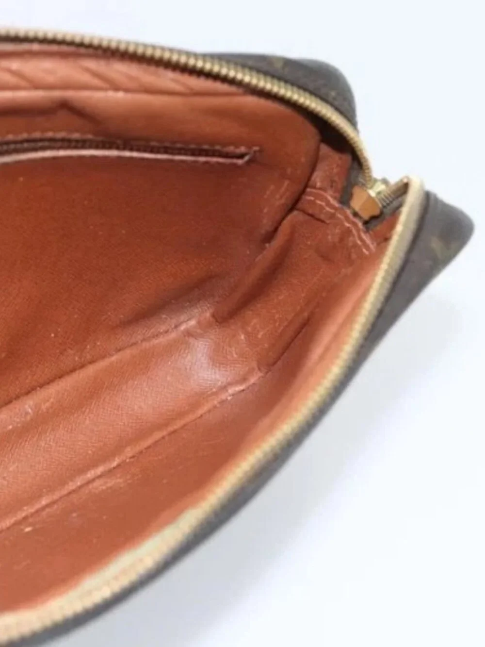 LOUIS VUITTON Monogram Marly Dragonne GM Clutch Bag M51825 LV Auth 86775
